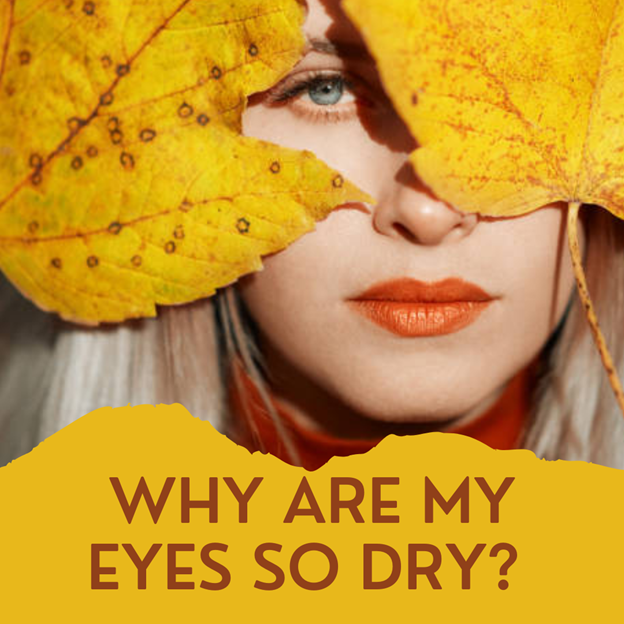 Woman behind two leaves with the text "Why are my Eyes so Dry?"