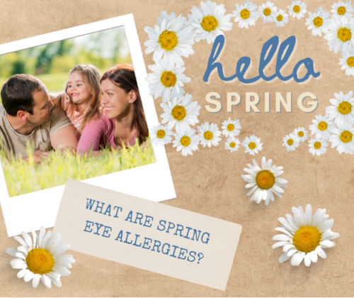 What Are Spring Eye Allergies? | Raleigh Ophthalmology